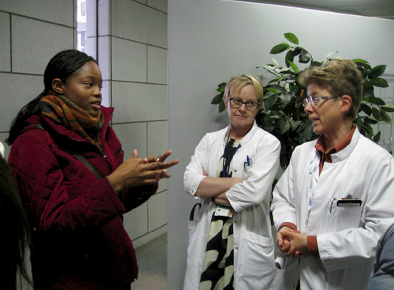 Study Medical Practice & Policy in Copenhagen, Denmark