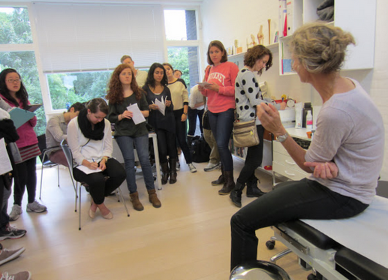 Study Medical Practice & Policy in Copenhagen, Denmark