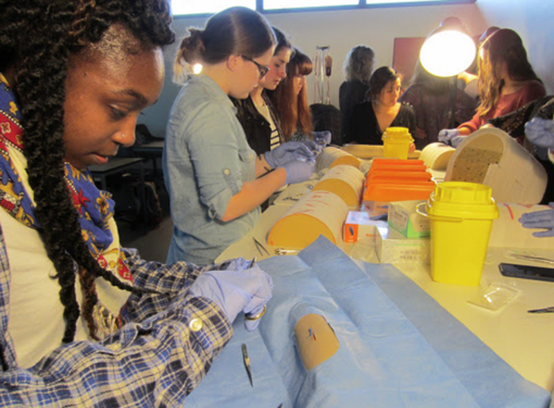 Study Medical Practice & Policy in Copenhagen, Denmark