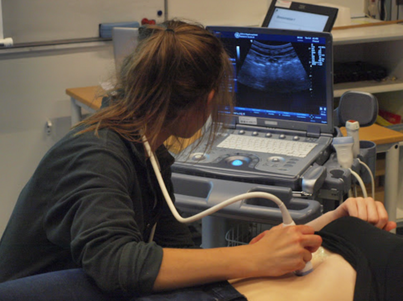 Study Medical Practice & Policy in Copenhagen, Denmark