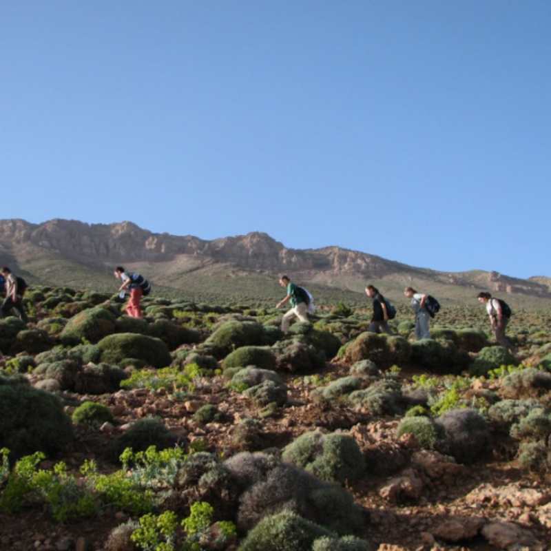 Where There Be Dragons: Morocco