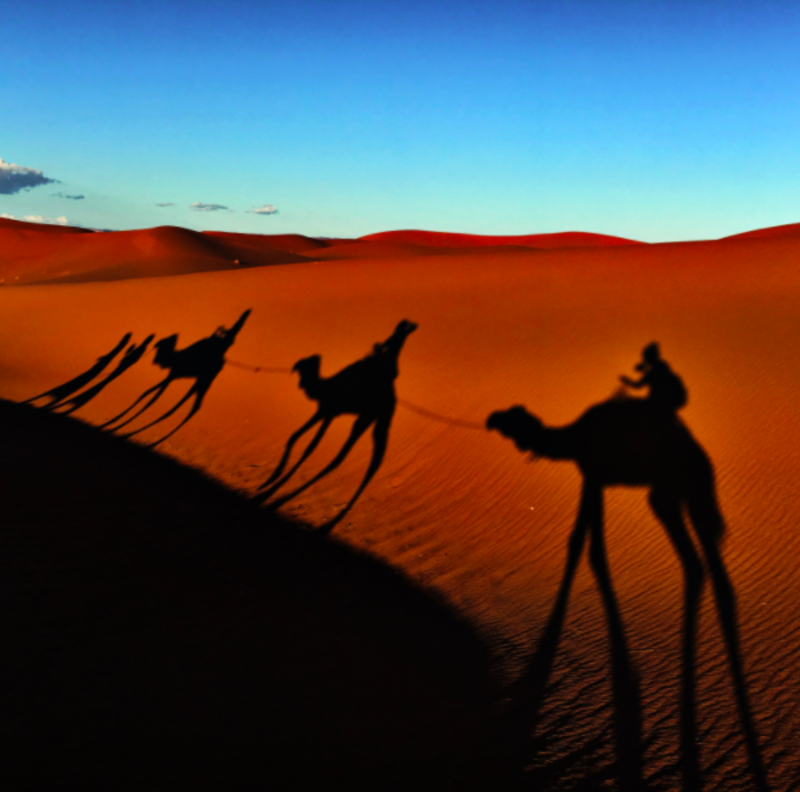 Study Moroccan colloquial Arabic through regular lessons which focus on developing key communication abilities.