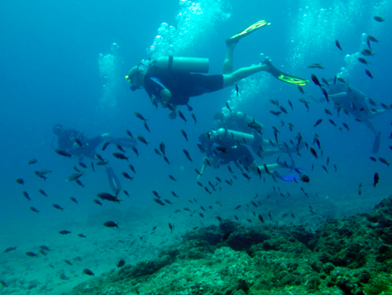 Dive Instructor Training 