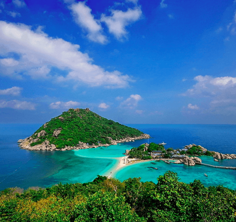 Marine Conservation Thailand 