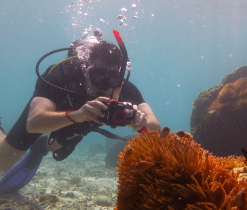 Marine Conservation Thailand 