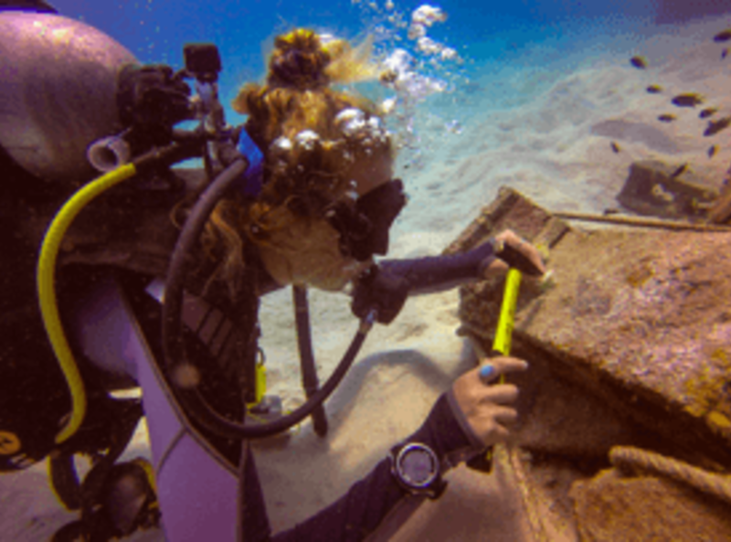 Marine Conservation Thailand 