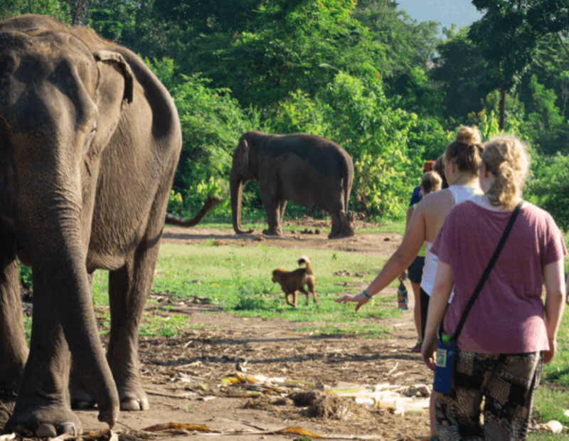 Southeast Asia Explorer