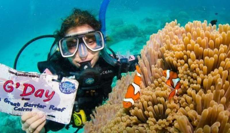 New Zealand & Australia Adventure