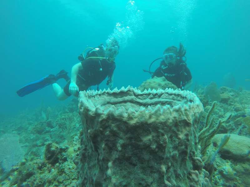 Scuba diving near Habana