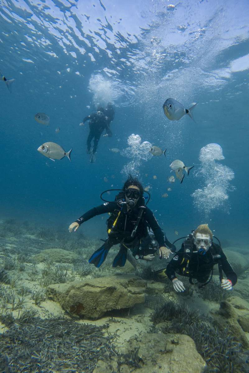 scuba