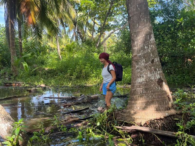 Sea turtle conservation in Costa Rica