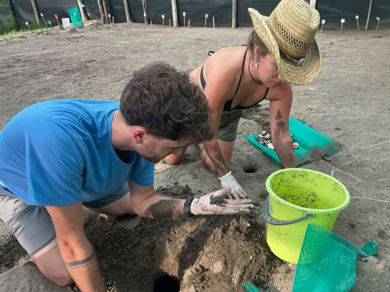Sea turtle conservation in Costa Rica