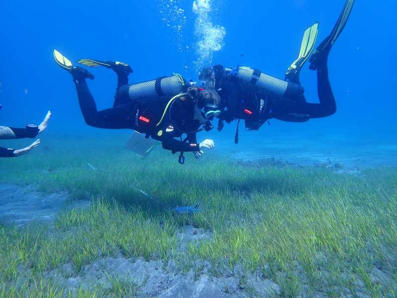 See You Diving Tenerife