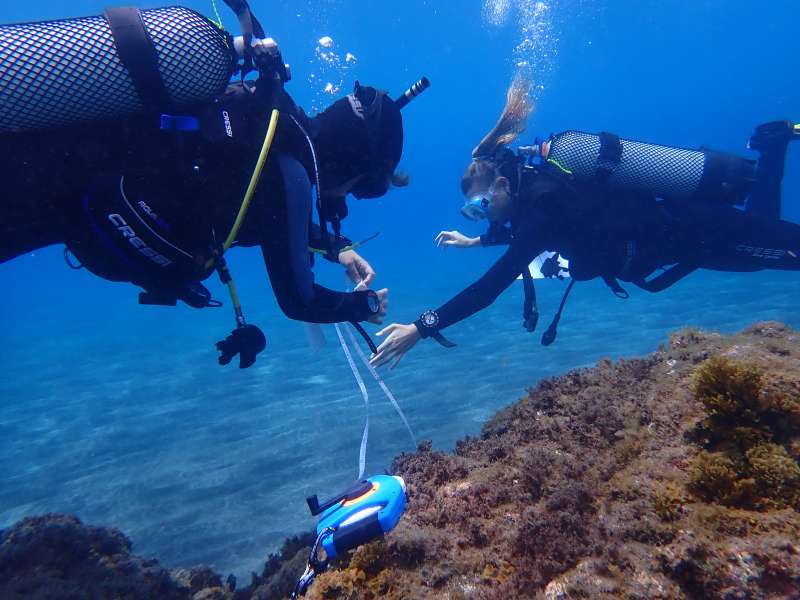 See You Diving Tenerife