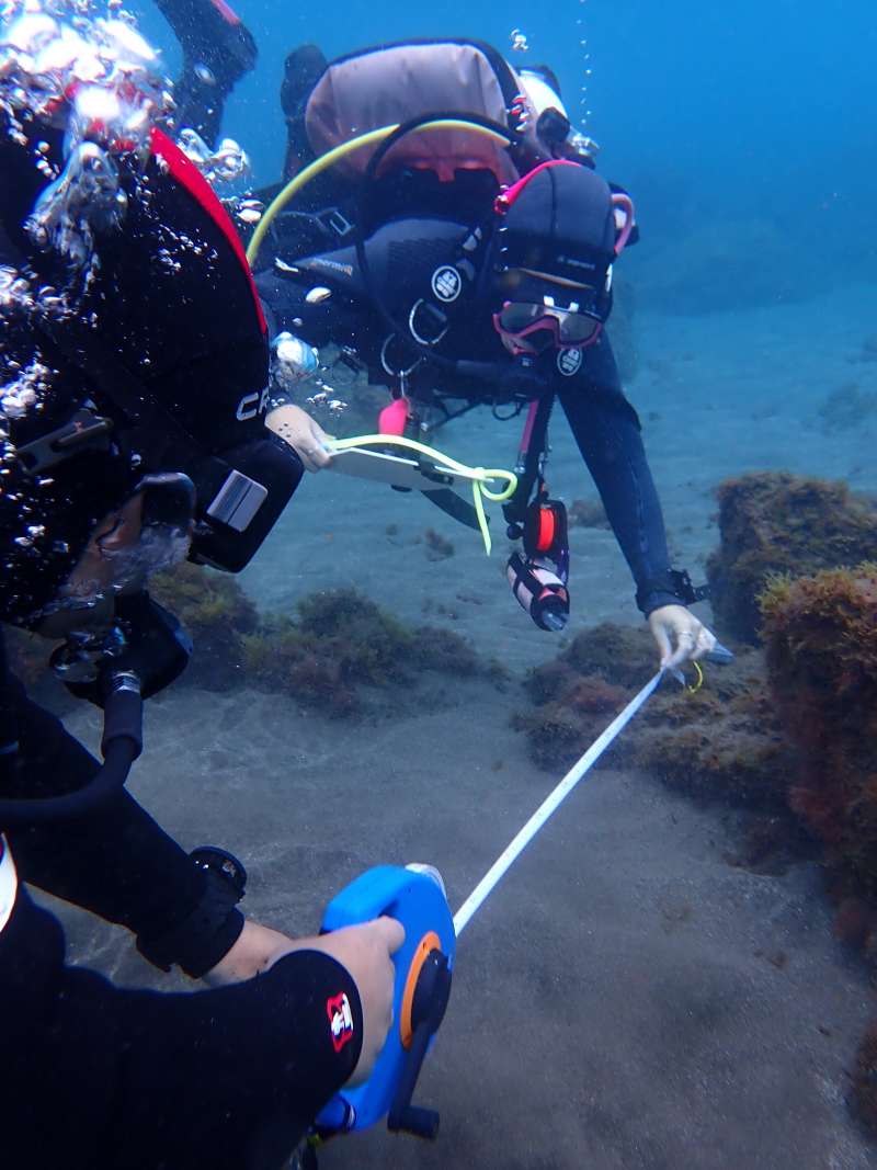 See You Diving Tenerife