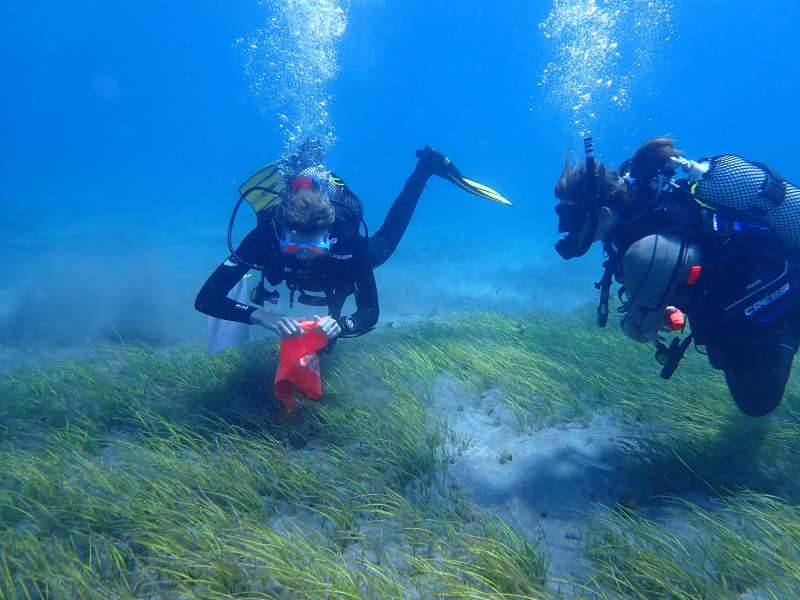 See You Diving Tenerife