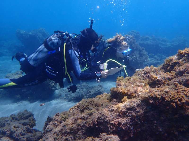 See You Diving Tenerife