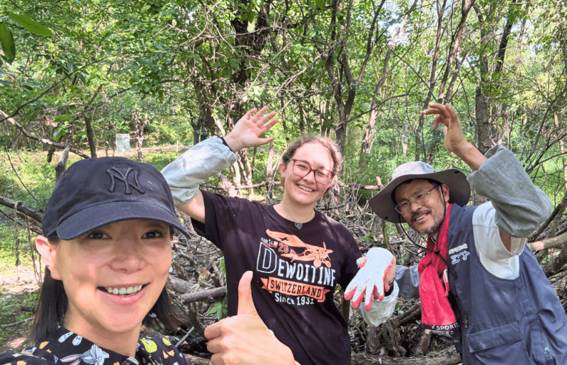 Seoul Culture Week & Environmental Volunteering
