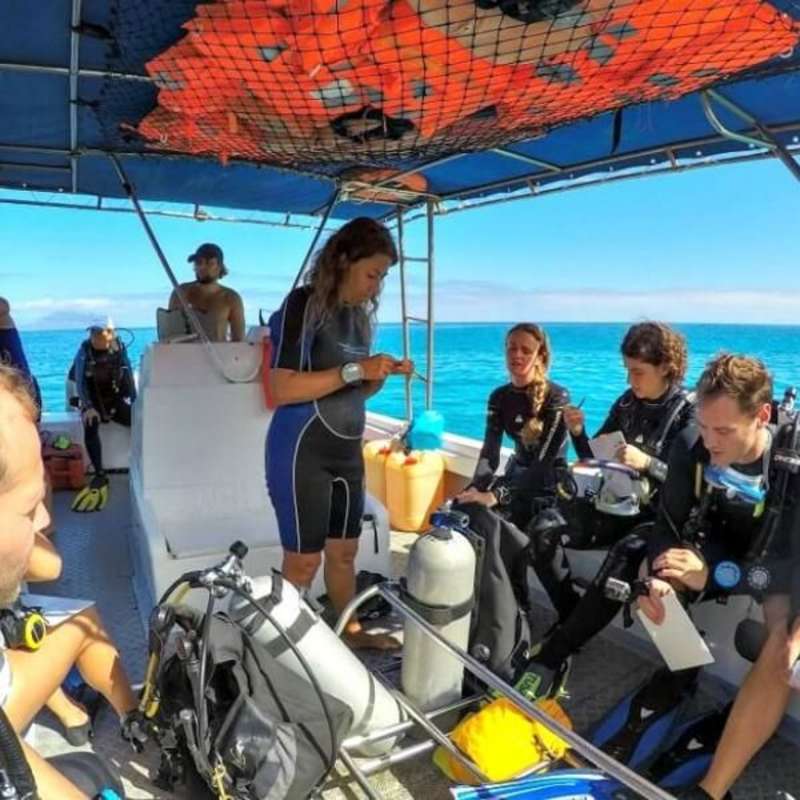 GoEco -Seychelles - Scuba Dive for Research and Conservation