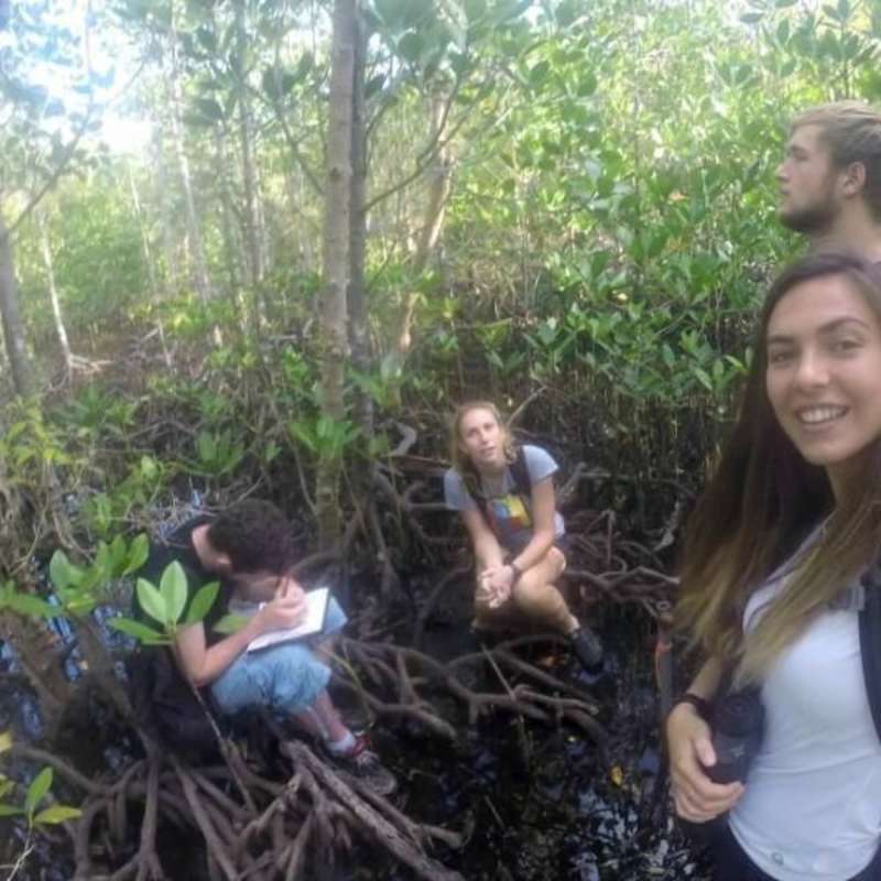 GoEco Seychelles - Wildlife Conservation Expedition