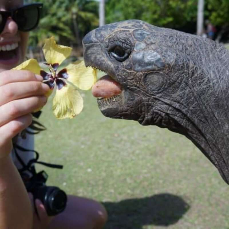 GoEco Seychelles - Wildlife Conservation Expedition