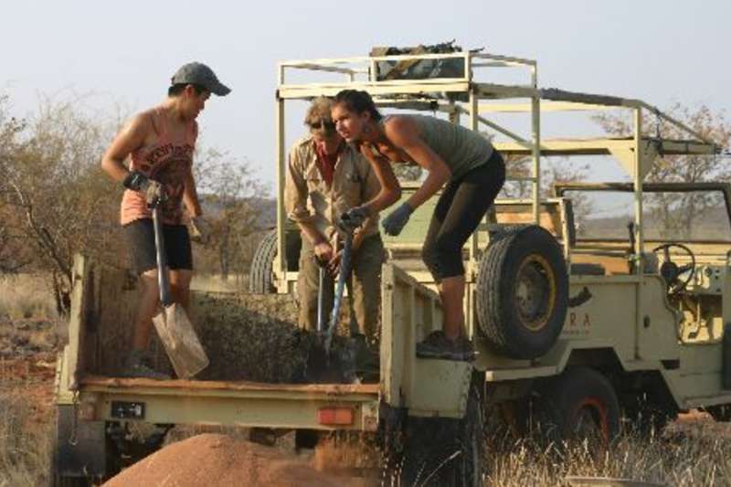 shovels