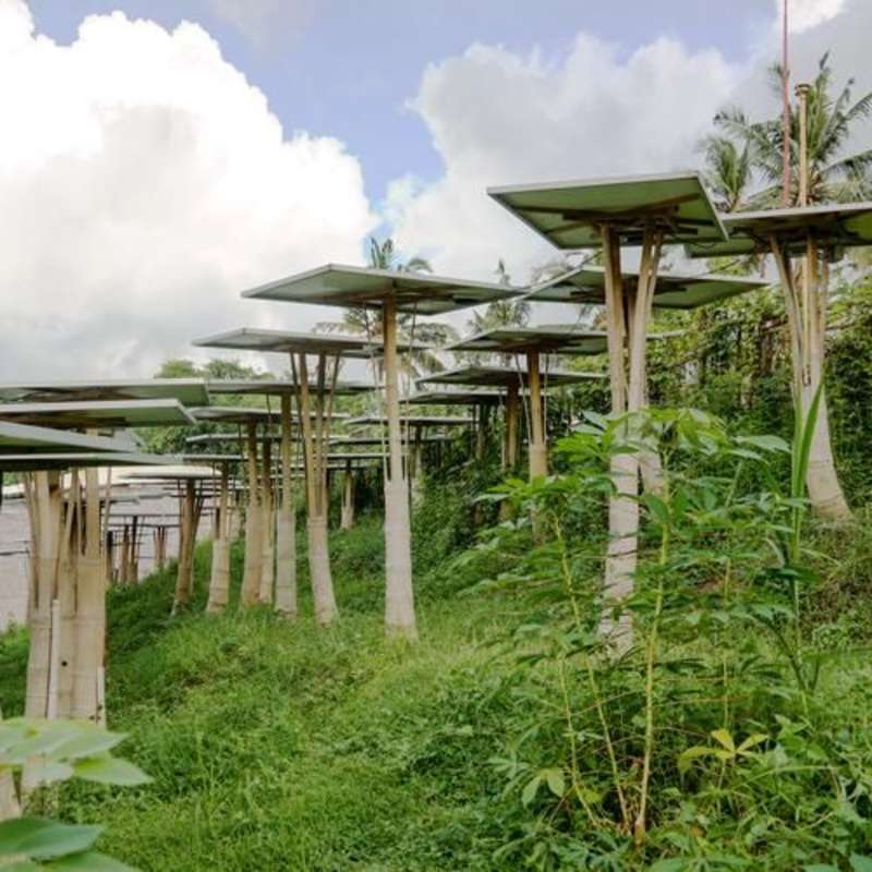 Renewable Energy & Sustainability