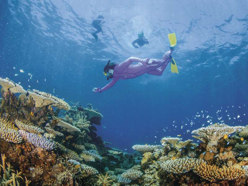 Snorkeler exploring vibrant coral reef.
