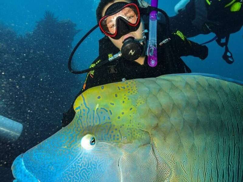 Snorkeling the Great Barrier Reef