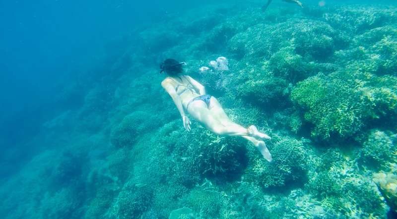 Snorkeling