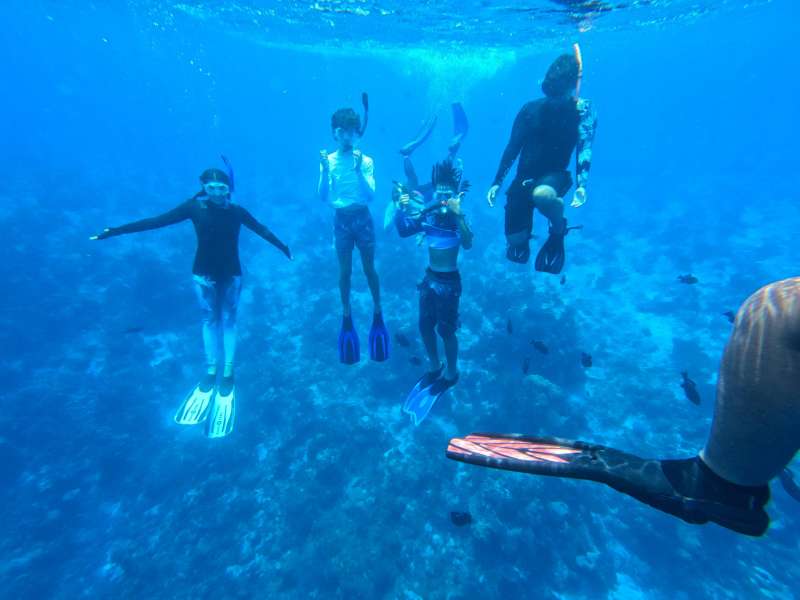 Snorkelling