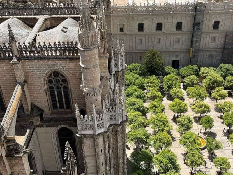 Some of the scenery our interns were able to witness in Seville, Spain