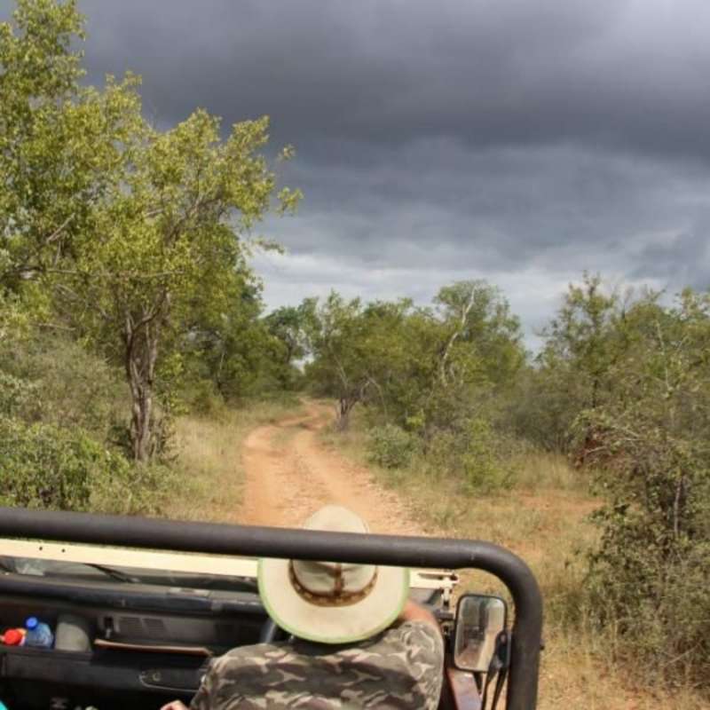 GoEco South Africa - Big Five & Endangered Species Reserv