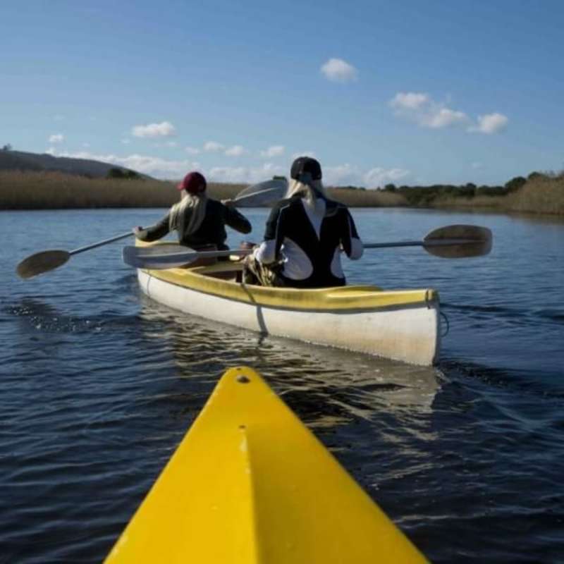 GoEco South Africa - Garden Route Road Trip