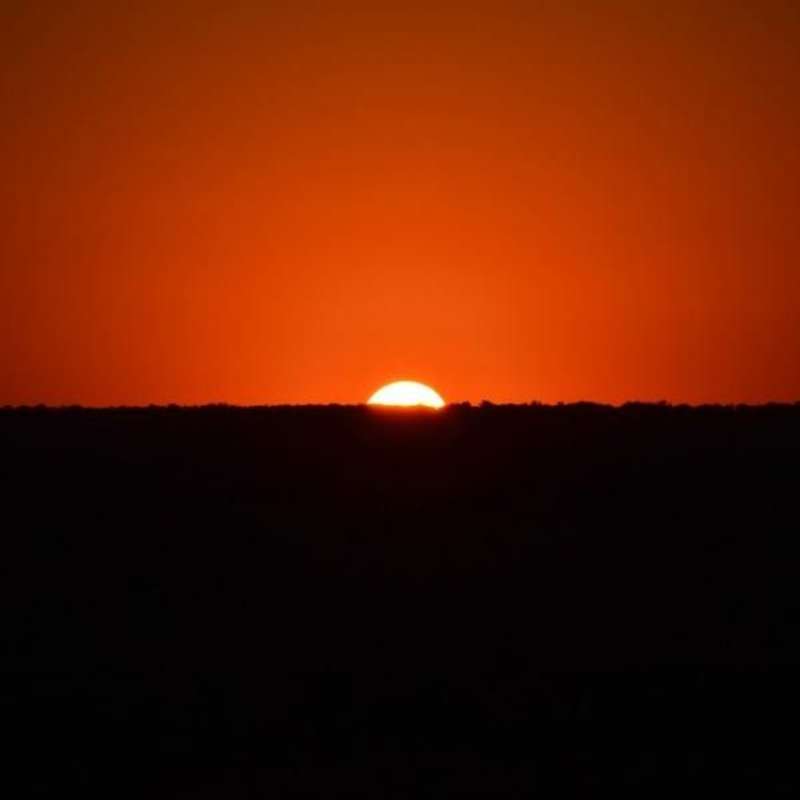 GoEco South Africa - Kevin Richardson Wildlife Sanctuary