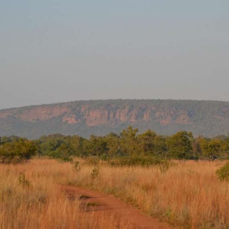 GoEco South Africa - Kevin Richardson Wildlife Sanctuary
