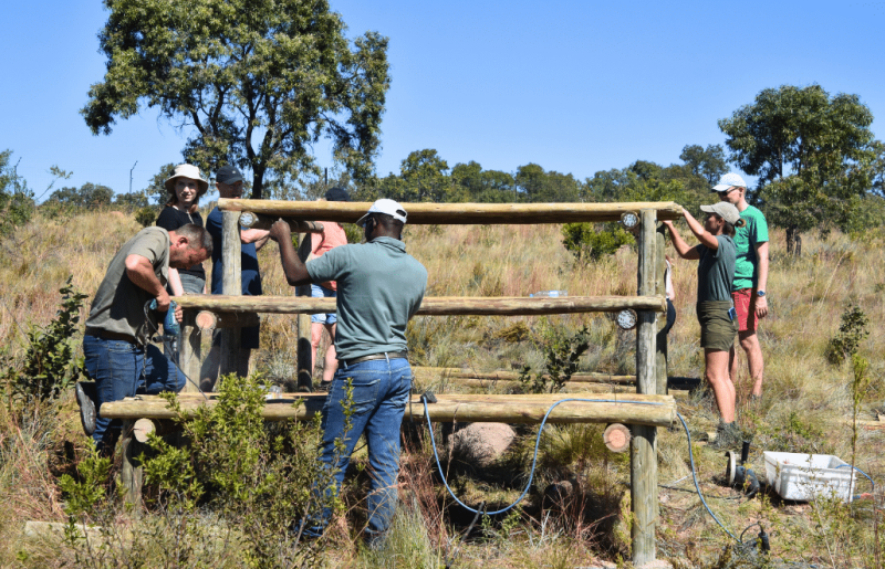 South Africa – Lion & Tiger Rescue & Wildlife Sanctuary