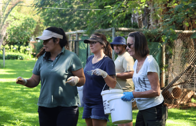 South Africa – Lion & Tiger Rescue & Wildlife Sanctuary