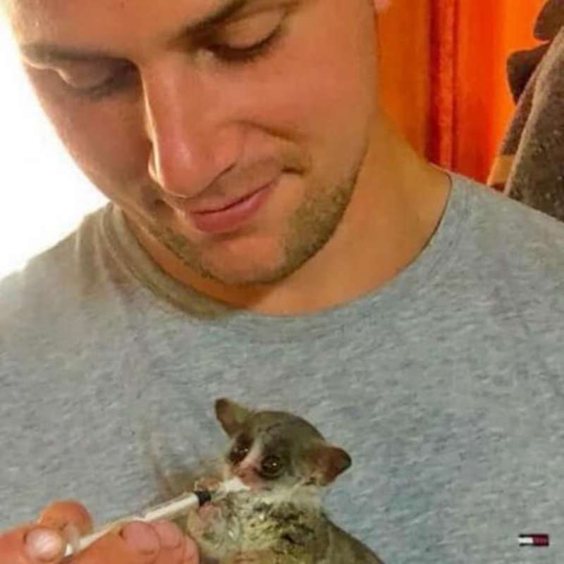 GoEco South Africa - Wildlife Rehabilitation Center