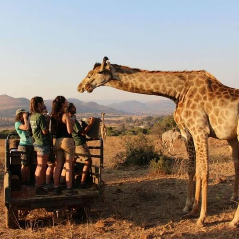 GoEco - Wildlife Sanctuary