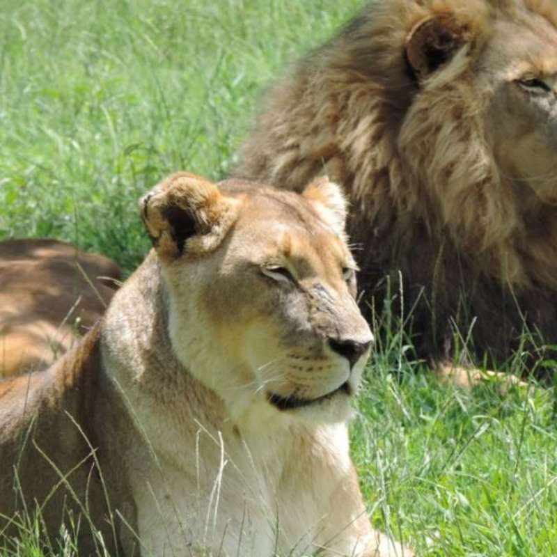 GoEco - Wildlife Sanctuary