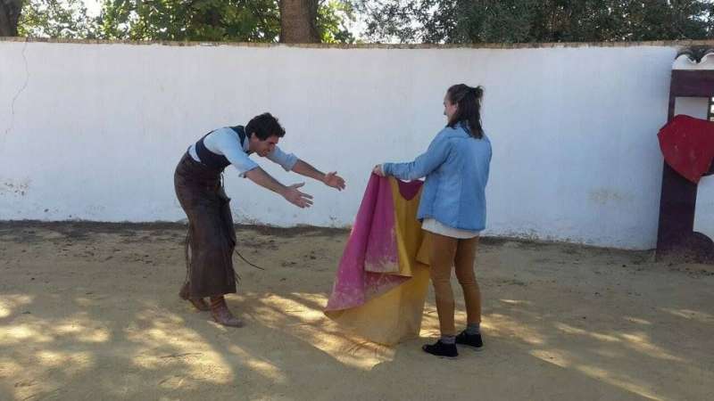 Bullfighting practice