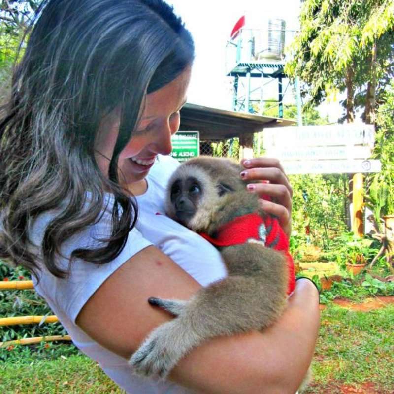 Thailand - Gibbon Primate Sanctuary
