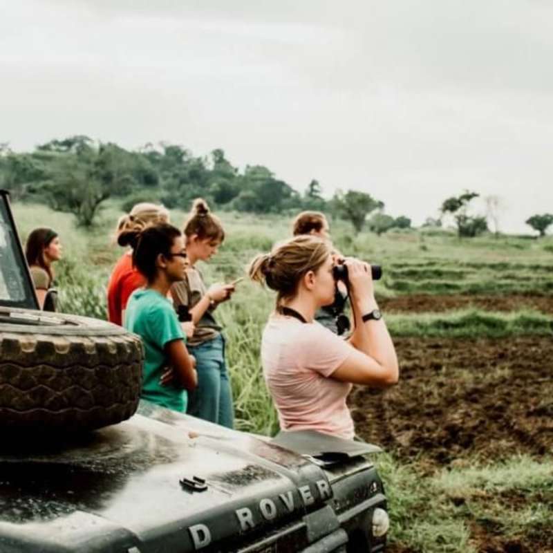 GoEco Sri Lanka - Wild Elephant Conservation and Research