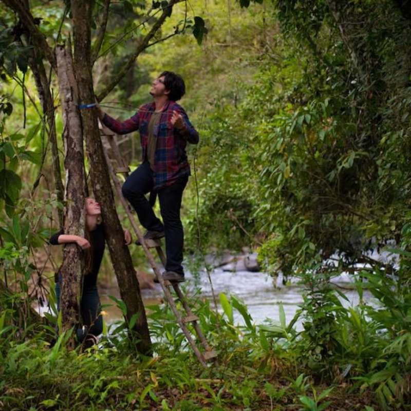 Volunteer in Reforestation