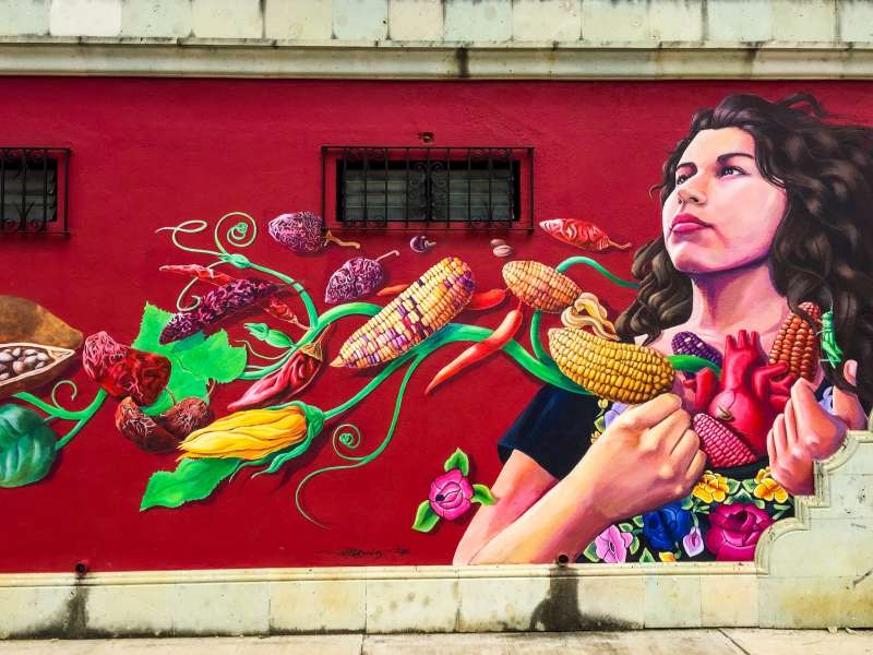 Street art in Oaxaca, Mexico