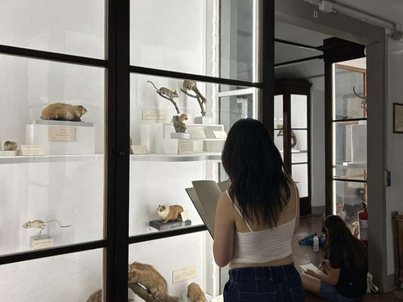 Student in museum taking notes in Florence