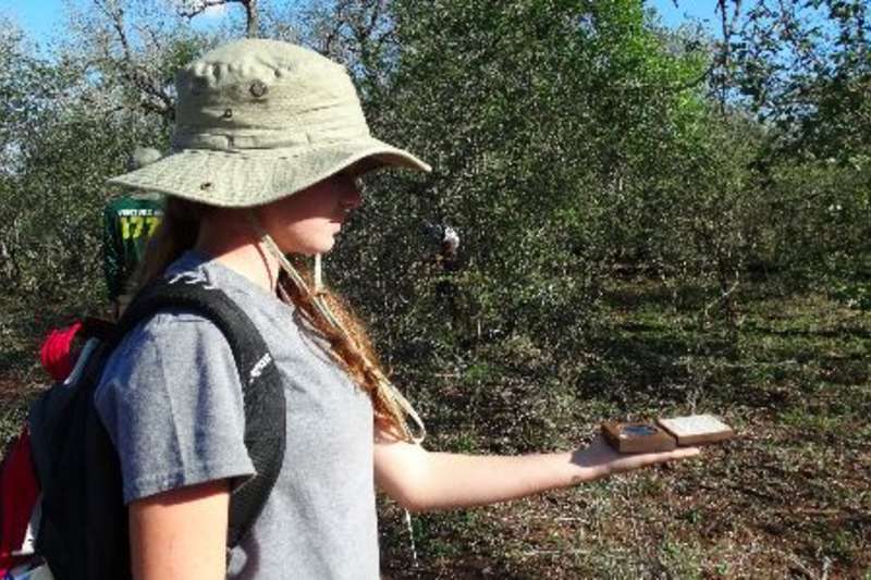 Student measuring canopy cover density Conservation Internship