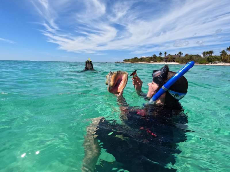 Student measuring conch