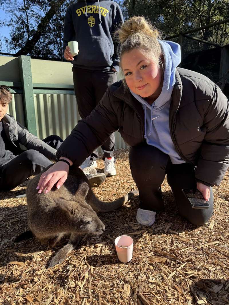 Student petting kangaroo in Australia